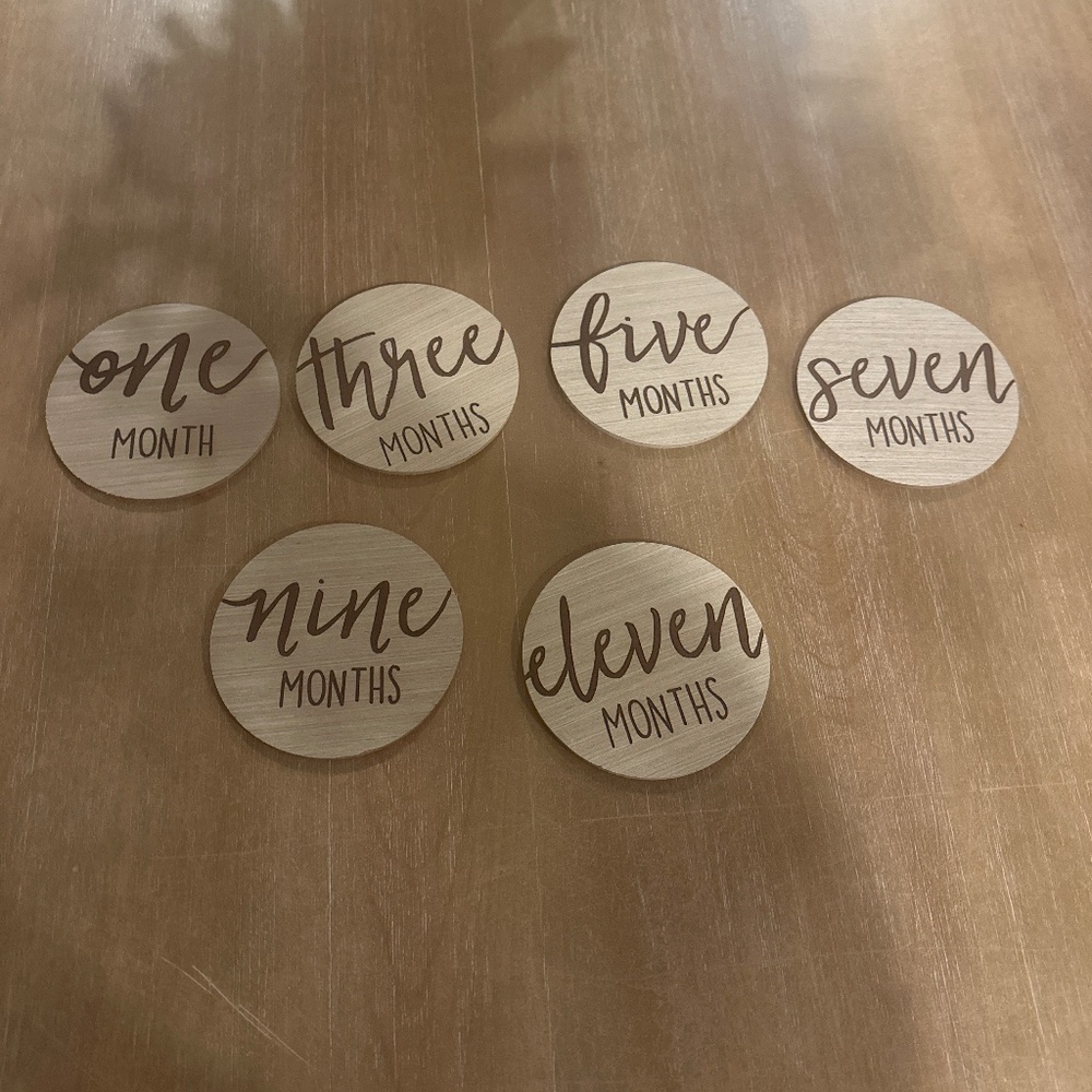 Baby’s 1st year milestone discs